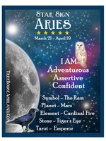 Star Sign Zodiac Kit, Aries