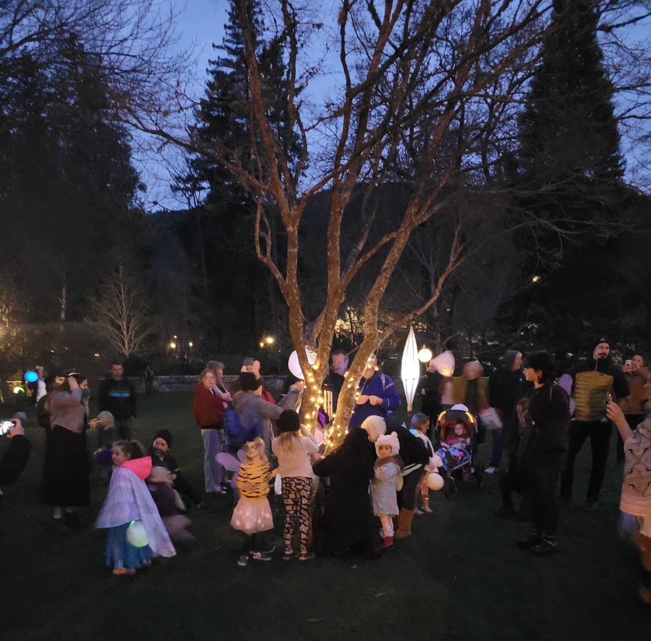 Wizards & Pollinators at the Spring Equinox Wishing Tree