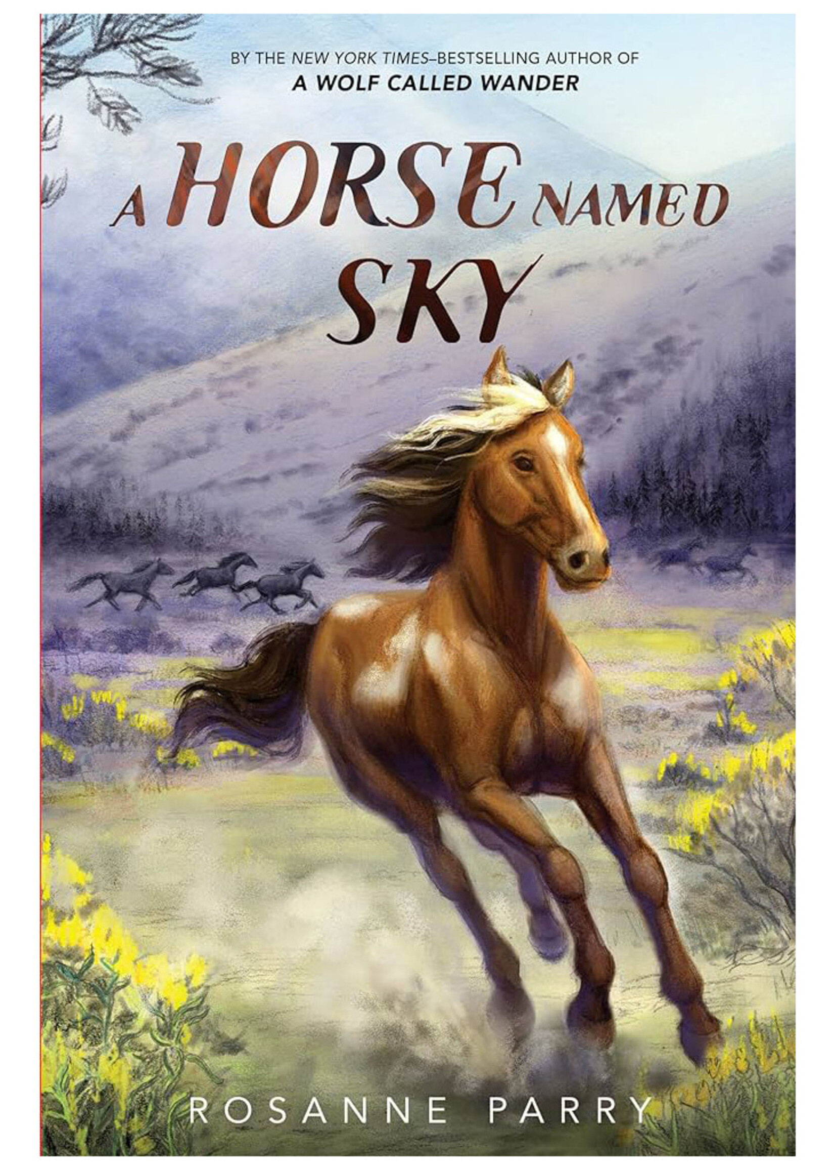 A Horse Named Sky - Hardcover