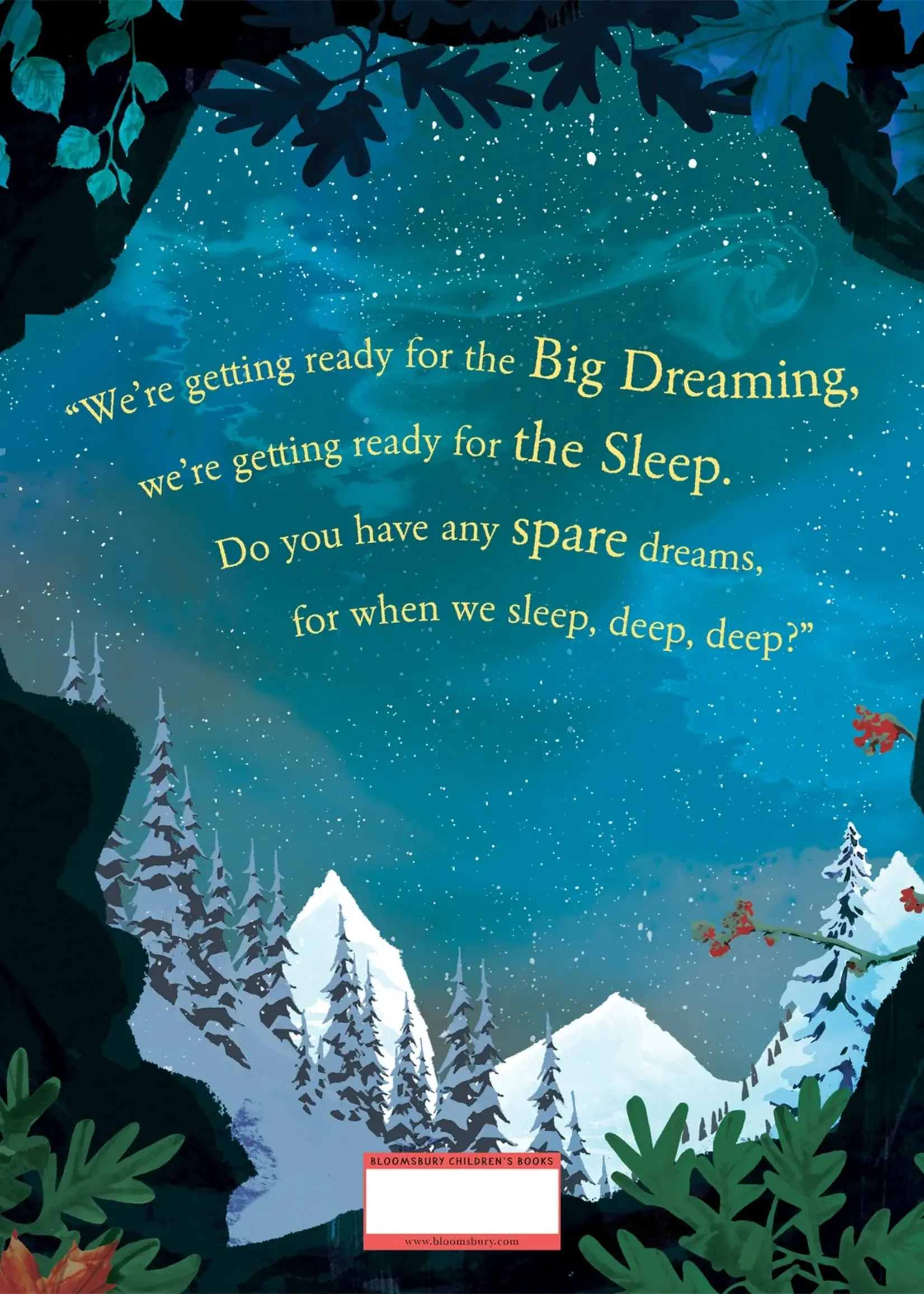 Bear's Big Dreaming - Hardcover