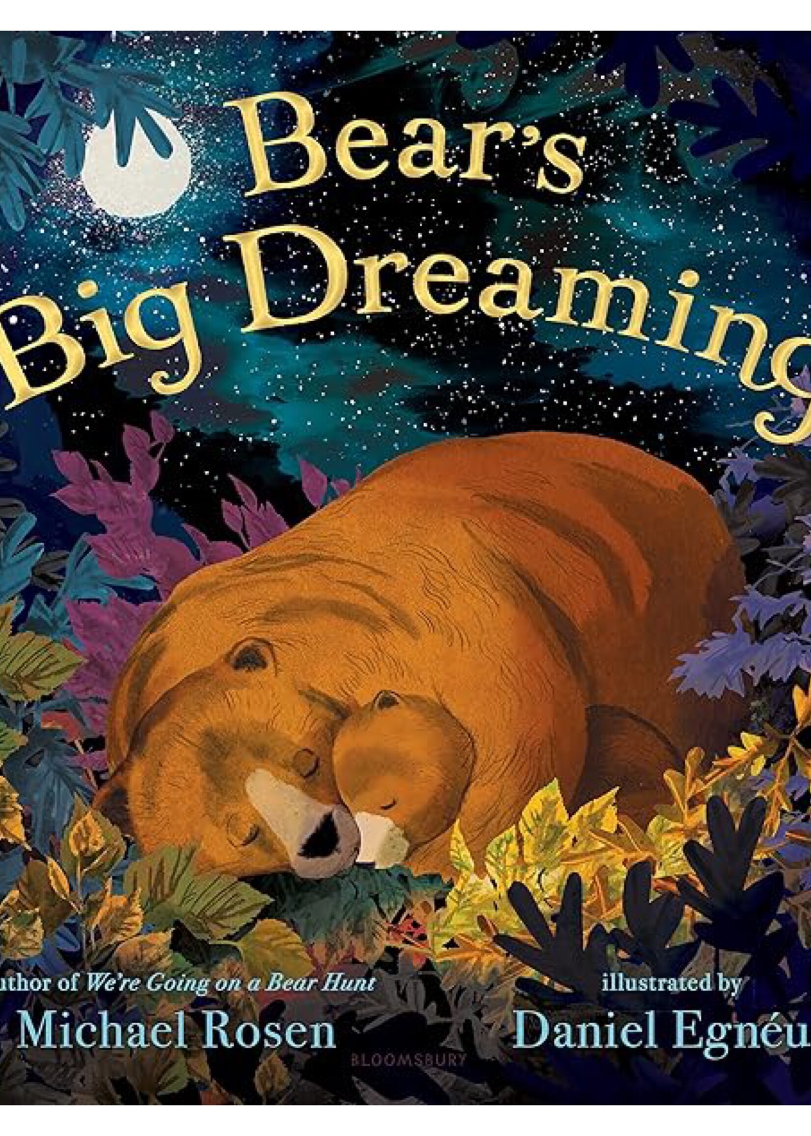 Bear's Big Dreaming - Hardcover