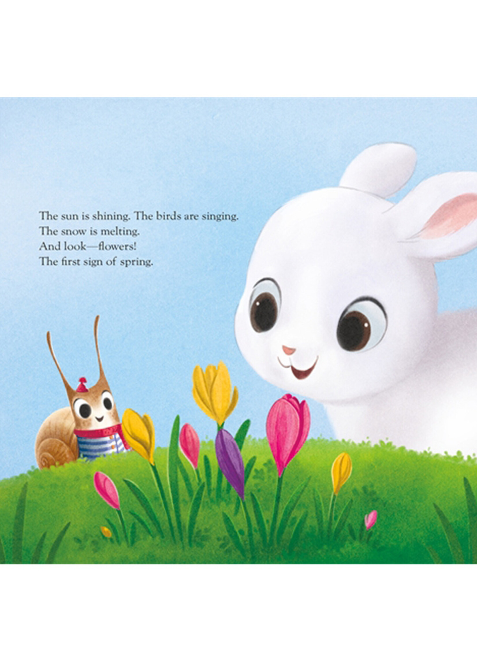 Escargot and the Search for Spring - Board Book