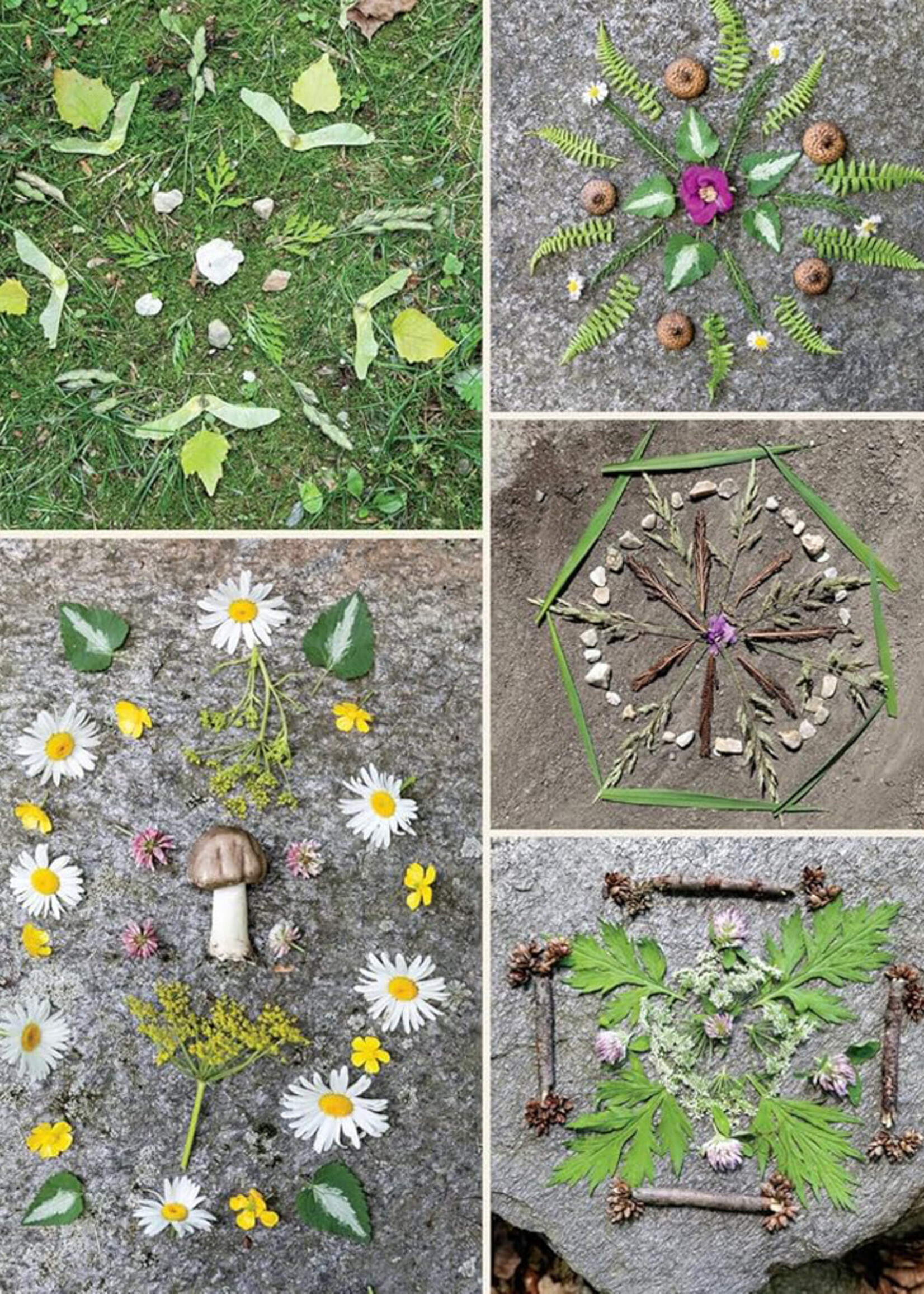 Herbal Activities for Kids: 50 Nature Crafts, Recipes, and Garden Projects - Paperback