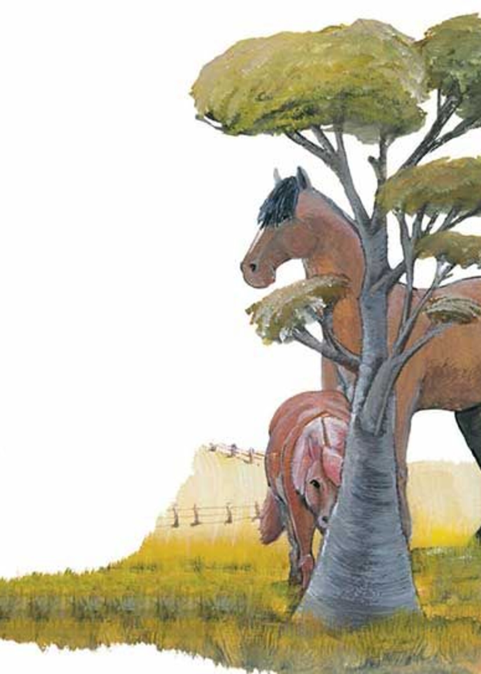 The Smallest Horse - Paperback