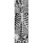 Powell Peralta Powell Peralta - SAS Skeleton CLEAR Grip Tape Sheet - 10.5 x 33"