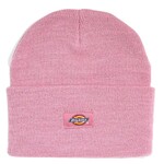 Dickies Dickies - Classic Cuffed Knit Beanie - Winsome Orchid