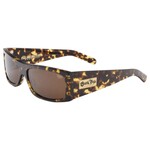 Black Flys Black Flys - Fly Detector 2 - Tort / Brown Lens