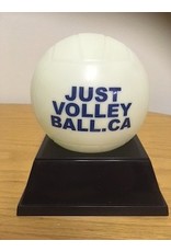 Galaxy Balloons JV Mini Glo Balls