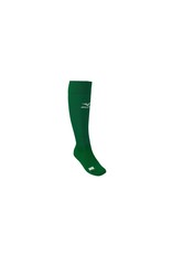 mizuno g2 socks