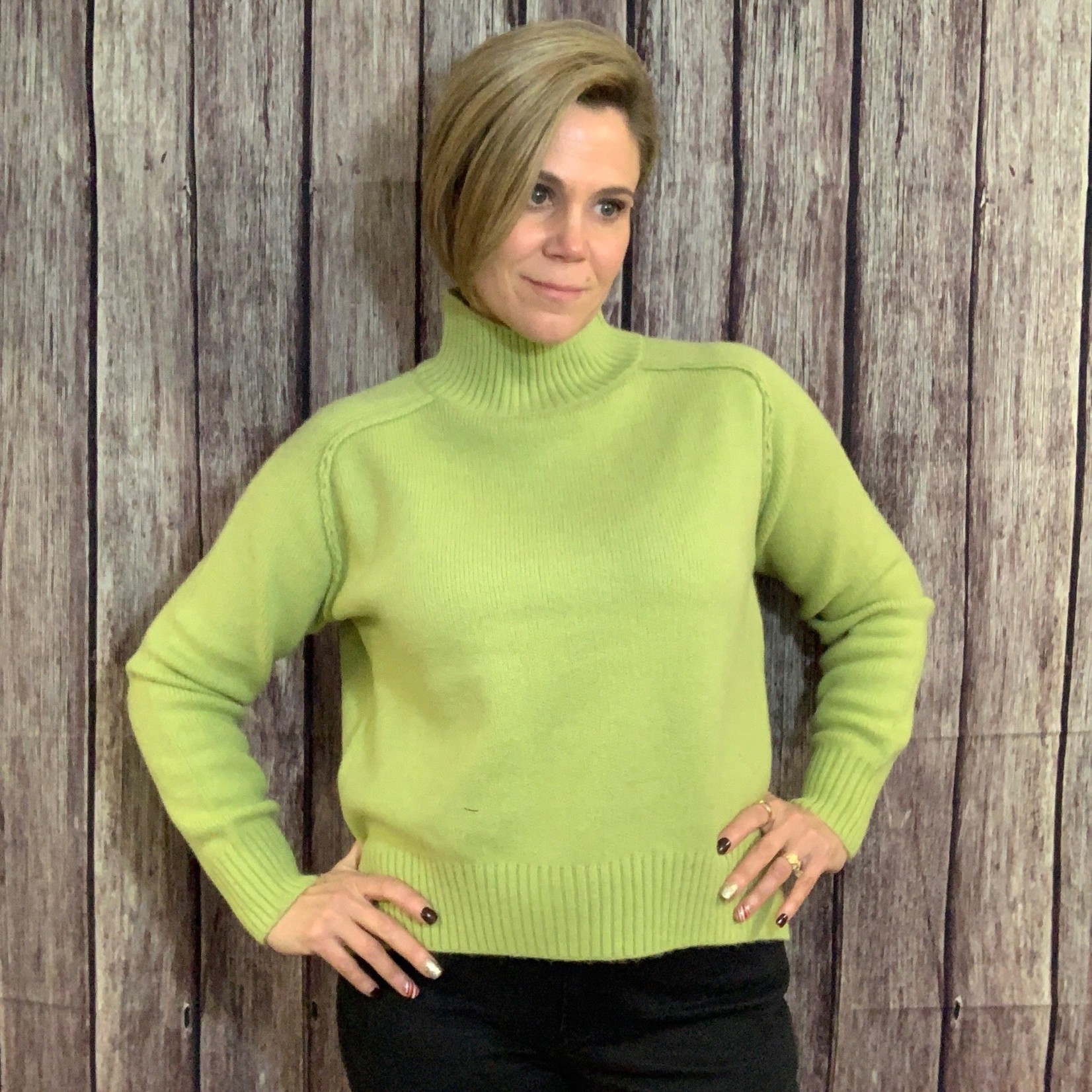 lyla +Luxe Turtle Neck Sweater