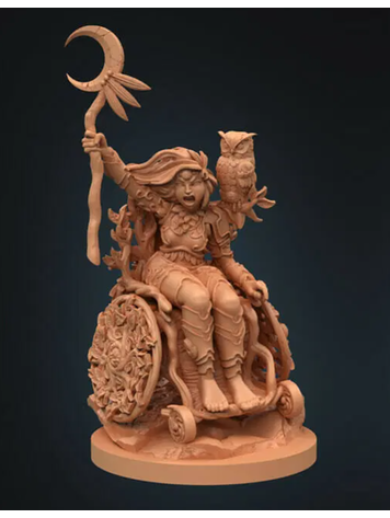 DUNGEONS AND DIVERSITY MINI HUMAN DRUID