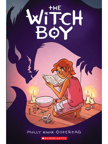 GRAPHIX WITCH BOY GN VOL 01