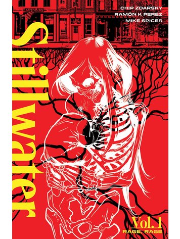 IMAGE COMICS STILLWATER BY ZDARSKY & PEREZ TP VOL 01