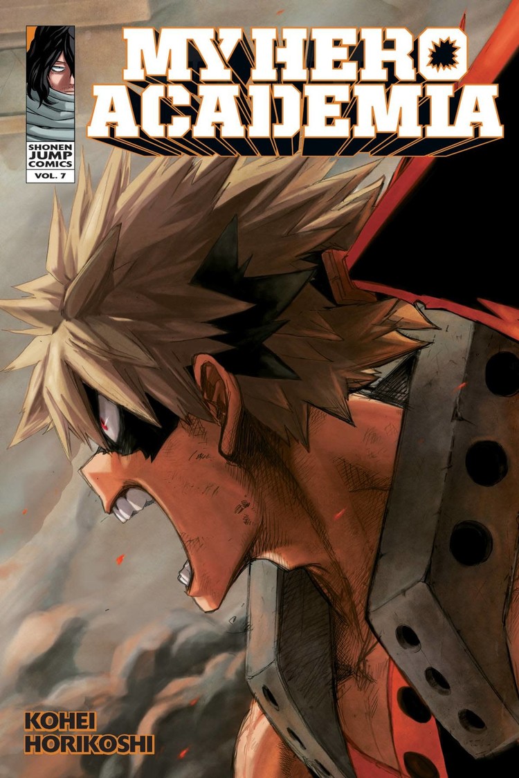 VIZ MEDIA LLC MY HERO ACADEMIA GN VOL 07