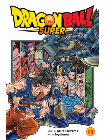 VIZ MEDIA LLC DRAGON BALL SUPER GN VOL 13