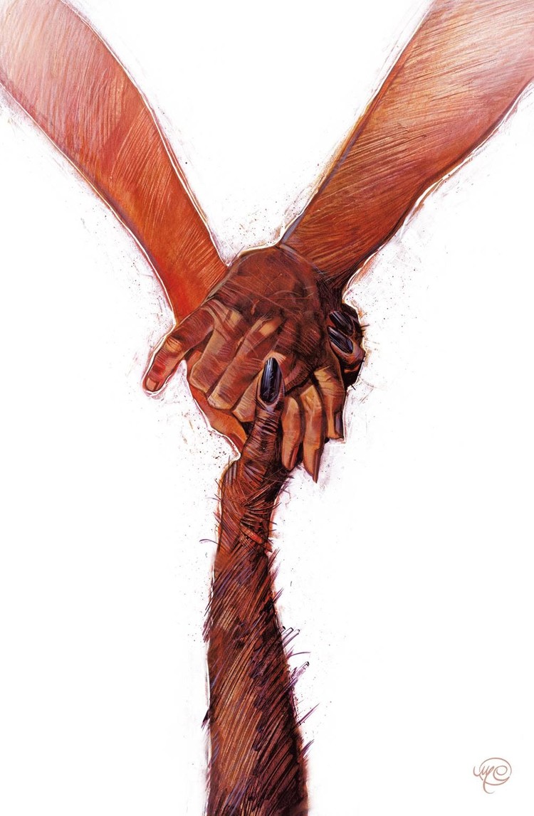 DC COMICS Y THE LAST MAN COMPENDIUM 2 TP