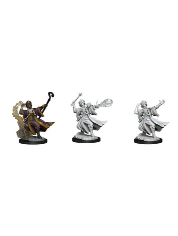 D&D Frameworks: W1 Male Human Monk, Table Top Miniatures