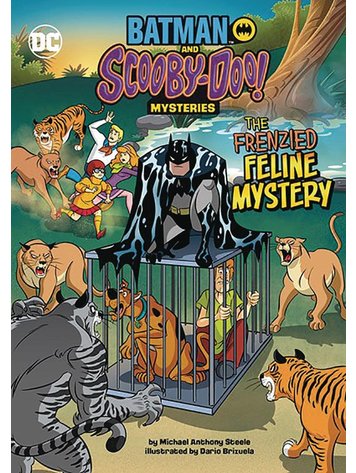 STONE ARCH BOOKS BATMAN SCOOBY DOO MYSTERIES FRENZIED FELINE MYSTERY