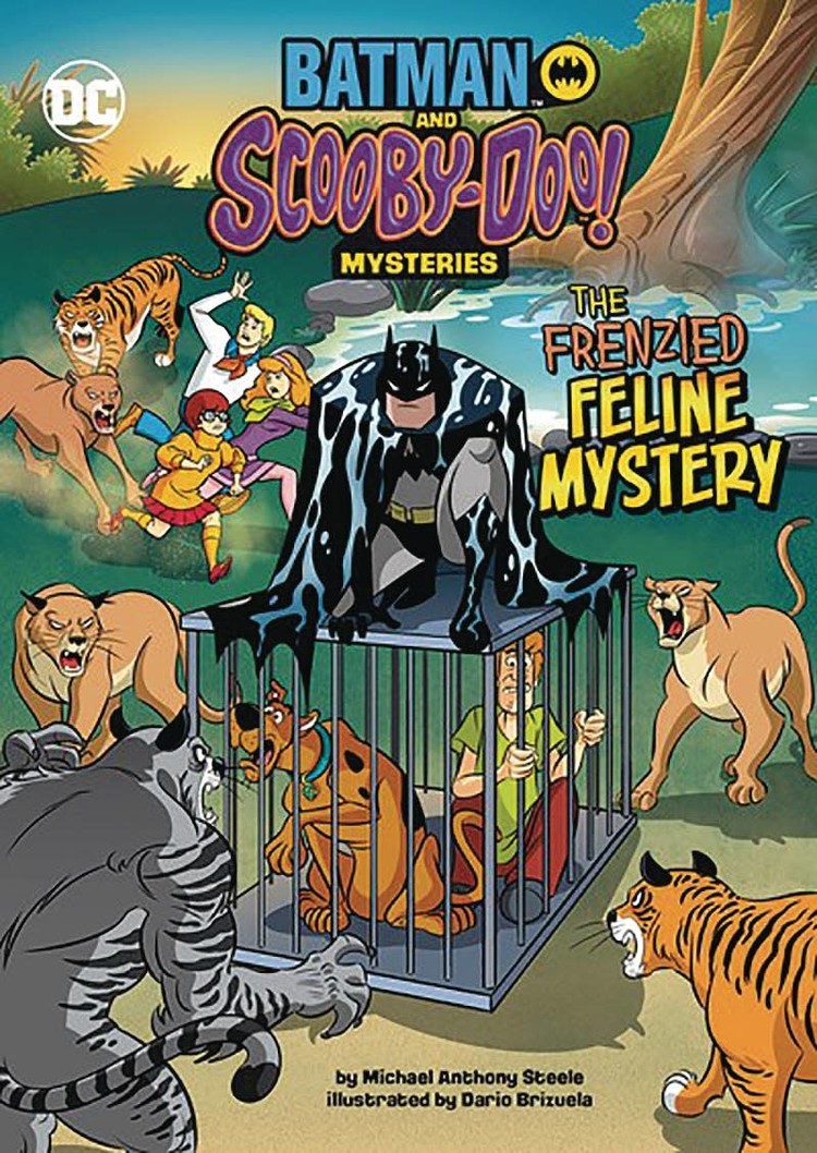 STONE ARCH BOOKS BATMAN SCOOBY DOO MYSTERIES FRENZIED FELINE MYSTERY
