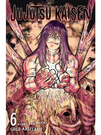 VIZ MEDIA LLC JUJUTSU KAISEN GN VOL 06