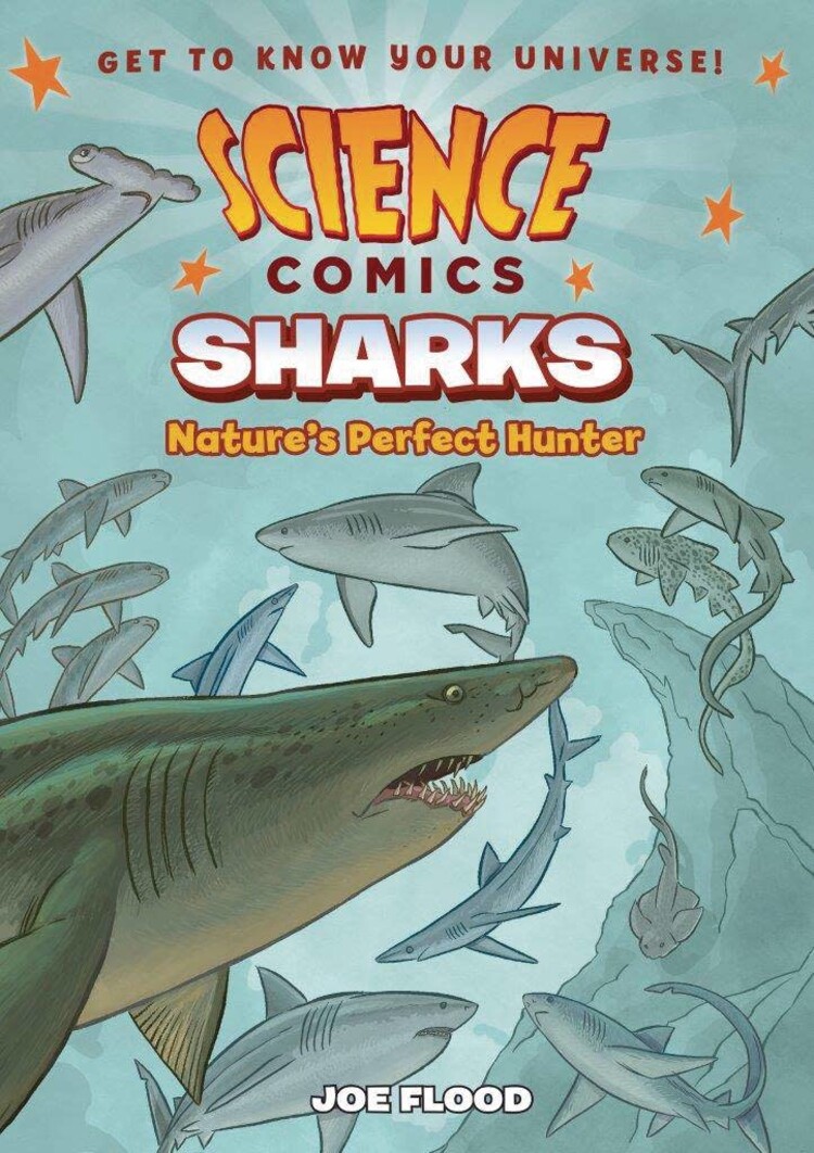 FIRST SECOND BOOKS SCIENCE COMICS SHARKS GN