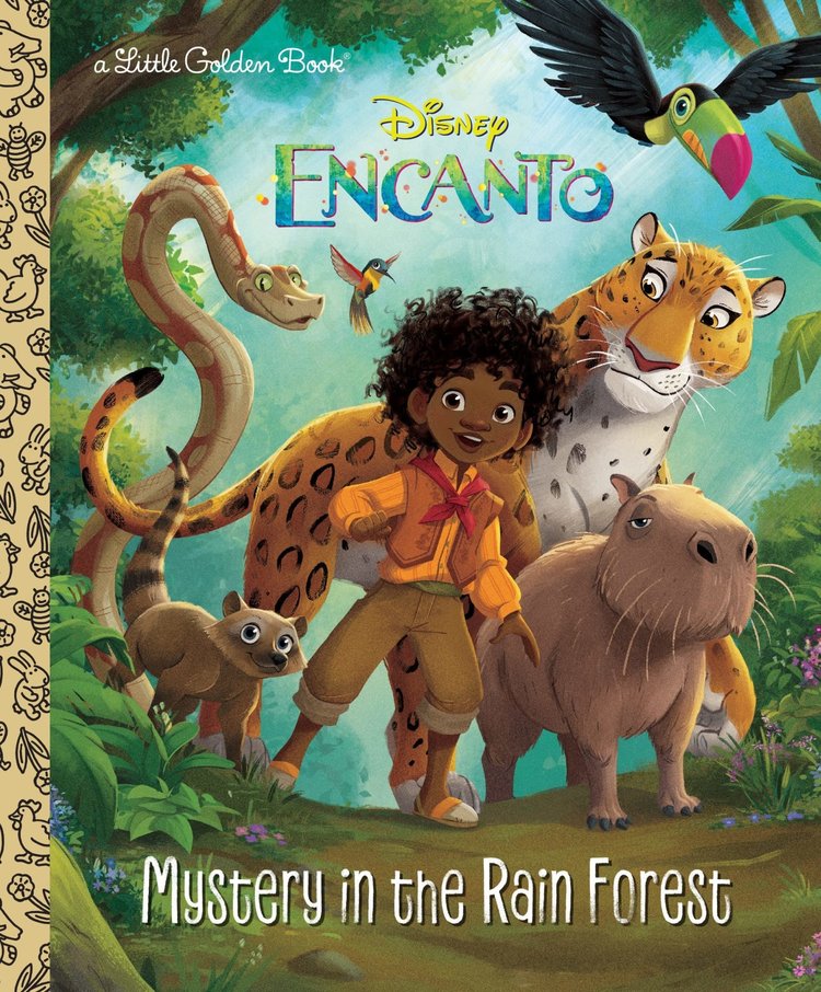 GOLDEN BOOKS DISNEY ENCANTO MYSTERY IN THE RAIN FOREST LITTLE GOLDEN BOOK