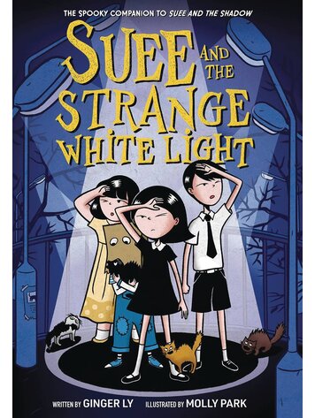 AMULET BOOKS SUEE AND THE STRANGE WHITE LIGHT SC GN