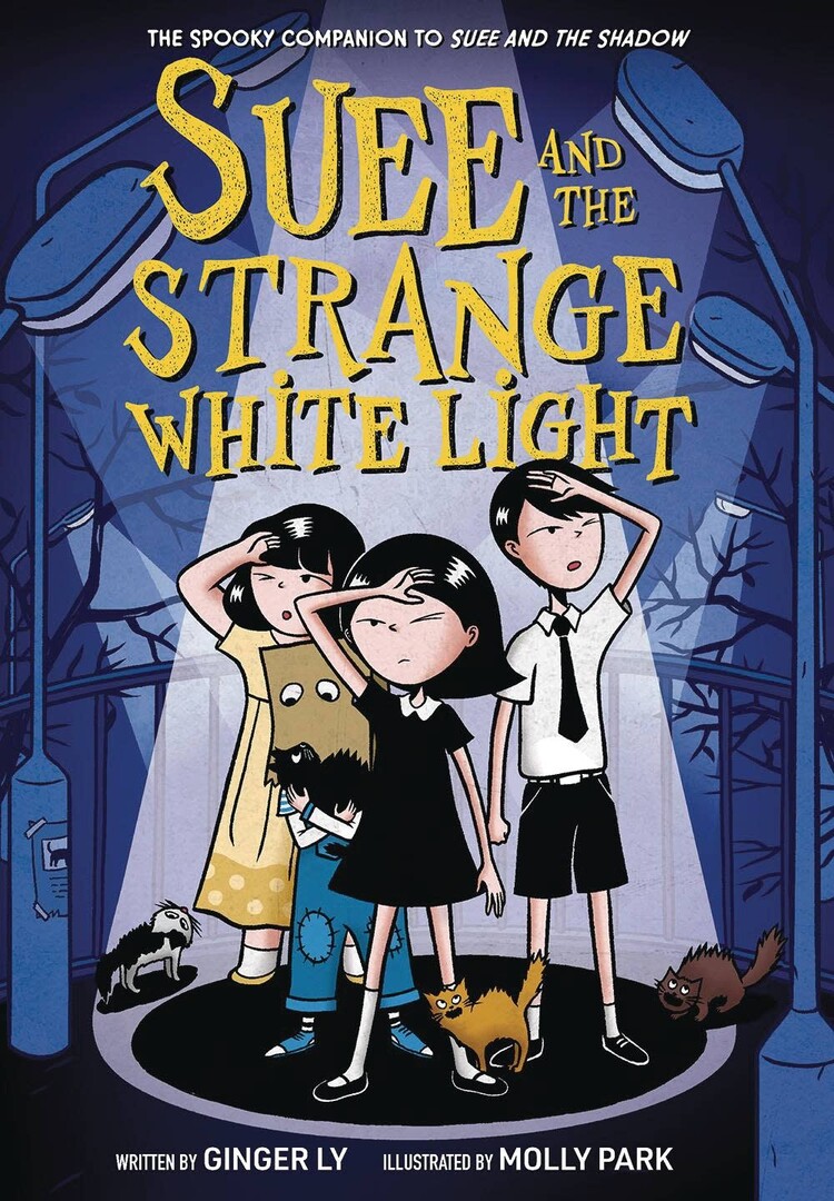 AMULET BOOKS SUEE AND THE STRANGE WHITE LIGHT SC GN