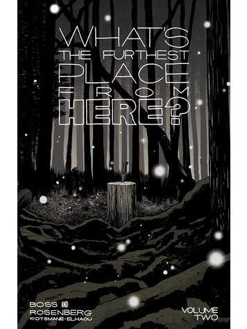IMAGE COMICS WHATS THE FURTHEST PLACE FROM HERE TP VOL 02