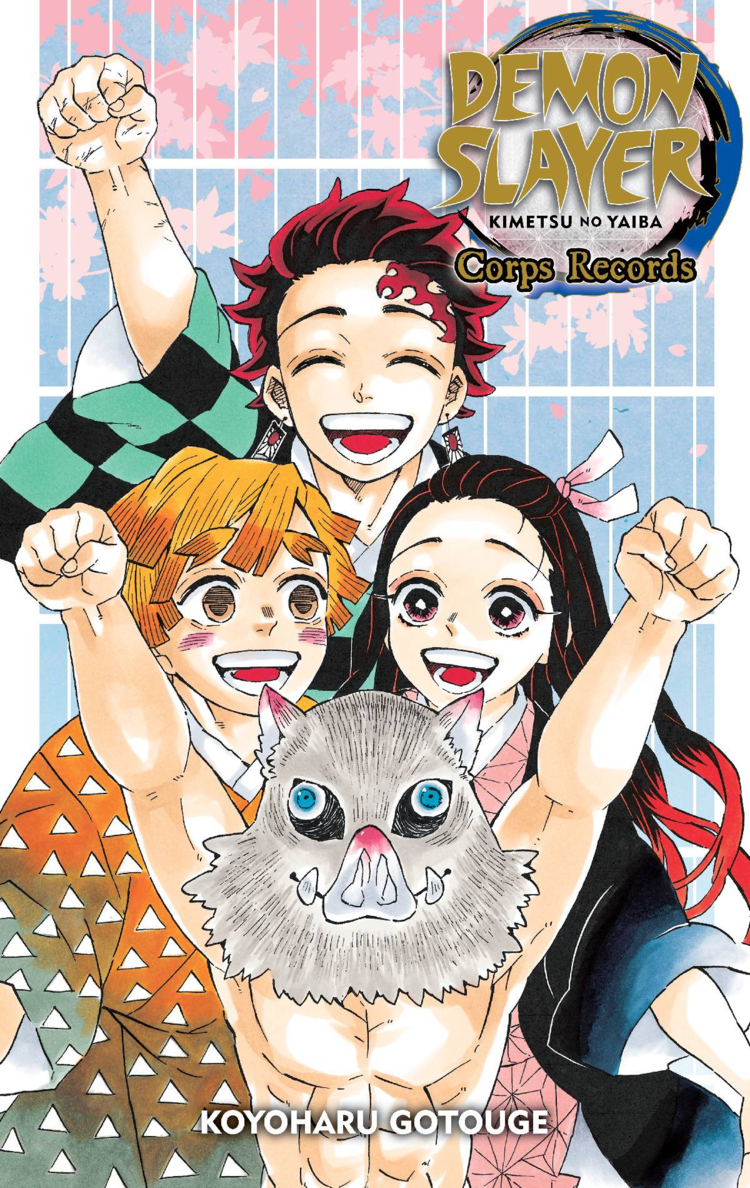 VIZ MEDIA LLC DEMON SLAYER KIMETSU NO YAIBA CORPS RECORDS STORY GN
