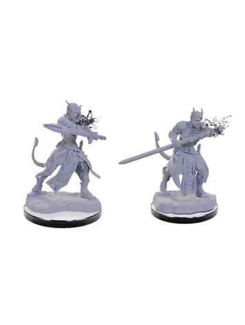 WIZKIDS D&D NOLZUR'S MARVELOUS UNPAINTED MINIS W22 TIEFLING WARLOCKS