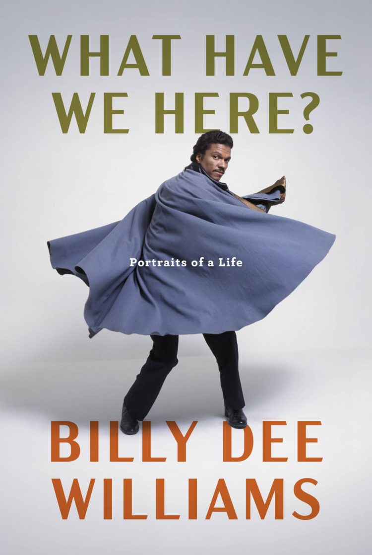PENGUIN RANDOM HOUSE WHAT HAVE WE HERE? HC