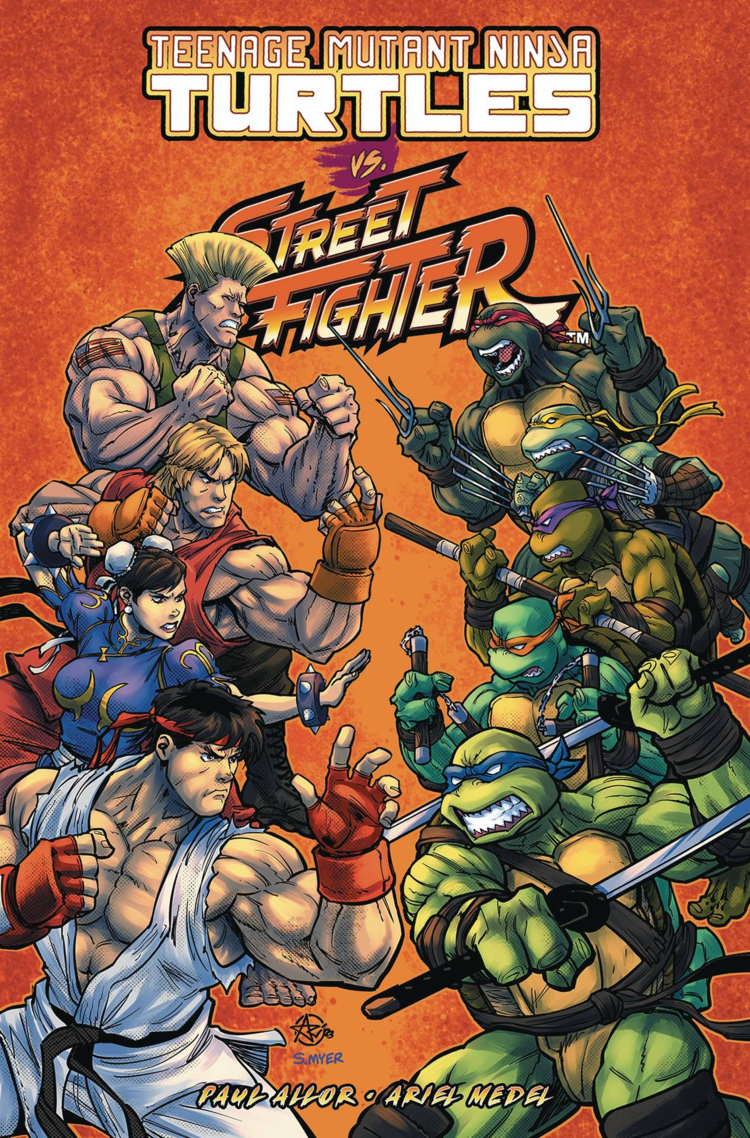 IDW PUBLISHING TEENAGE MUTANT NINJA TURTLES VS. STREET FIGHTER TP