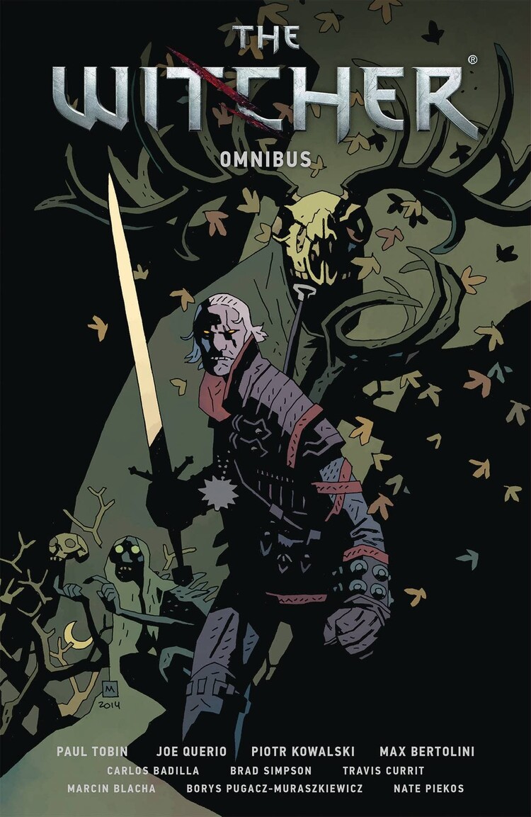 DARK HORSE COMICS WITCHER OMNIBUS VOL 01