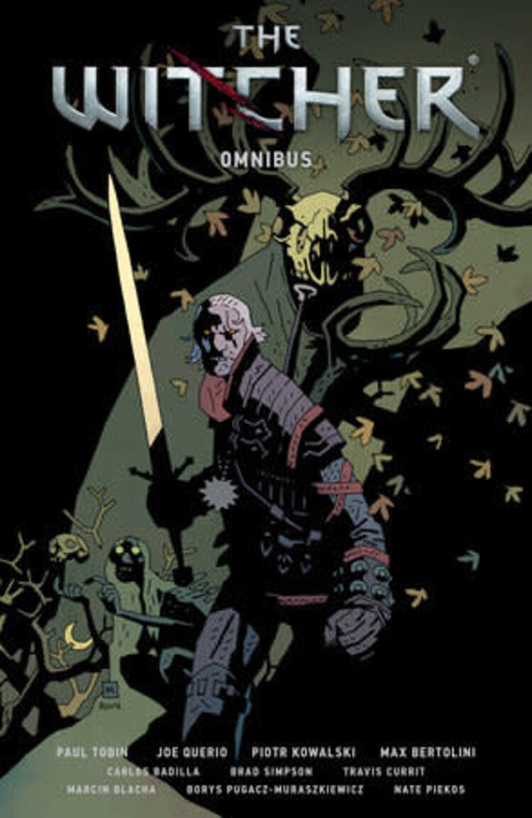 DARK HORSE COMICS WITCHER OMNIBUS VOL 01