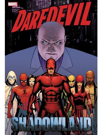 MARVEL COMICS DAREDEVIL SHADOWLAND OMNIBUS HC CASSADAY COVER [NEW PRINTING]