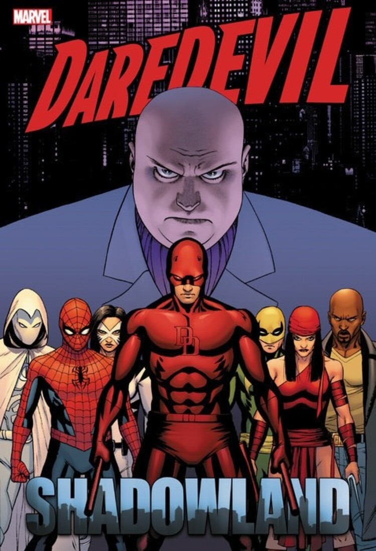 MARVEL COMICS DAREDEVIL SHADOWLAND OMNIBUS HC CASSADAY COVER [NEW PRINTING]