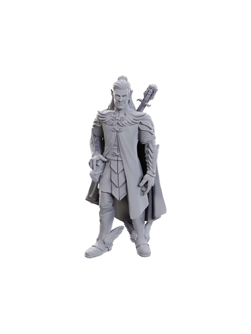 WIZKIDS CRITICAL ROLE UNPAINTED MINIATURES: W23 DORIAN STORM