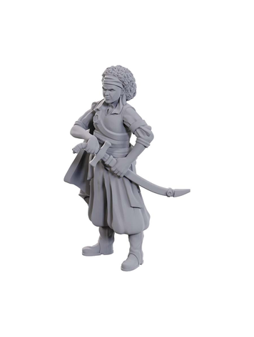 WIZKIDS D&D NOLZUR'S MARVELOUS MINIATURES: W23 ANSALON HUMAN ROGUE