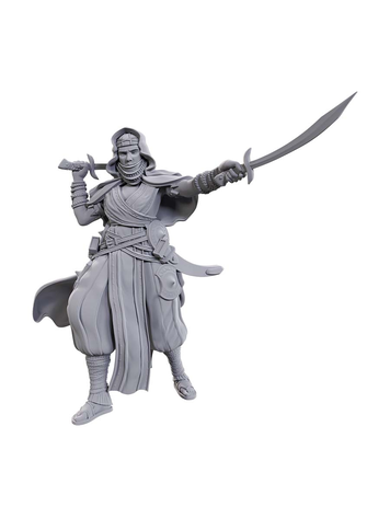 WIZKIDS PATHFINDER DEEP CUTS: W23 DESERT GIANT