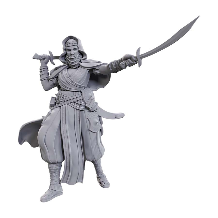 WIZKIDS PATHFINDER DEEP CUTS: W23 DESERT GIANT