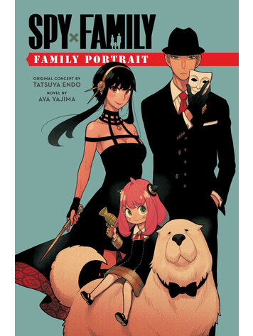 VIZ MEDIA LLC SPY X FAMILY FAMILY PORTRAIT NOVEL SC