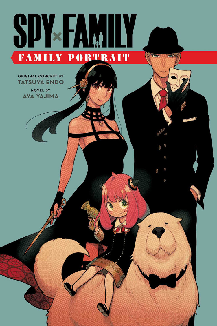 VIZ MEDIA LLC SPY X FAMILY FAMILY PORTRAIT NOVEL SC