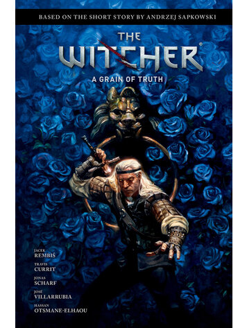 DARK HORSE COMICS ANDRZEJ SAPKOWSKIS THE WITCHER A GRAIN OF TRUTH HC