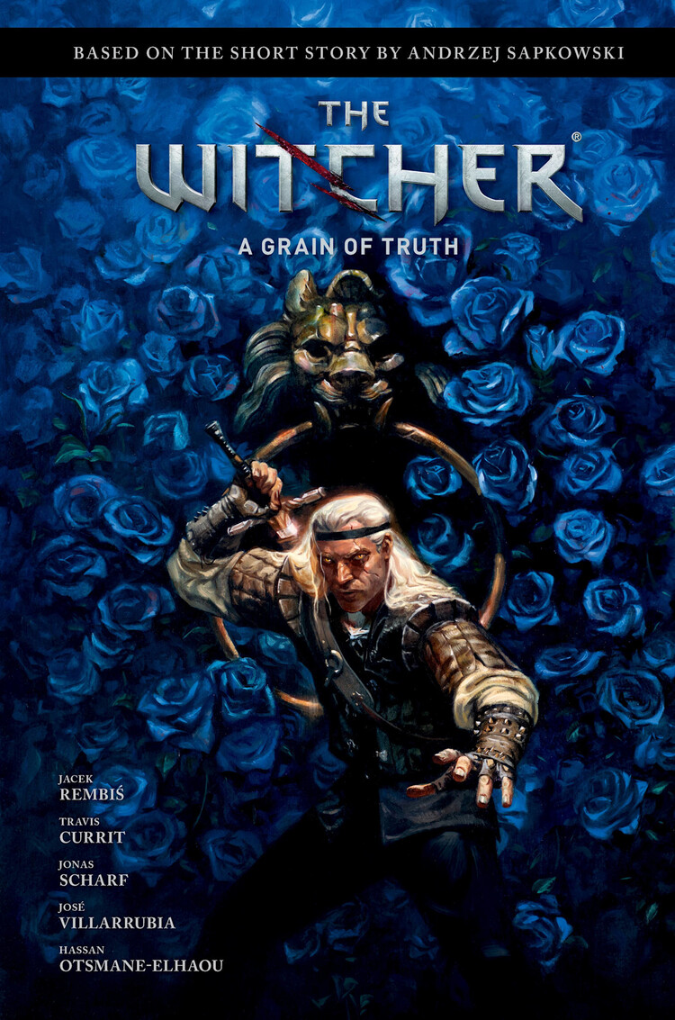DARK HORSE COMICS ANDRZEJ SAPKOWSKIS THE WITCHER A GRAIN OF TRUTH HC