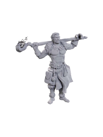 D&D NOLZUR'S MARVELOUS MINIATURES: W24 ARCHDRUID & MARTIAL ARTS ADEPT