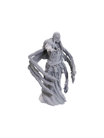 D&D NOLZUR'S MARVELOUS MINIATURES: W24 KRAKEN PRIEST