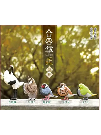 WISHING BIRDS BLIND BOX