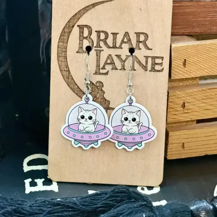SPACE CAT AND SPACESHIP EARRINGS