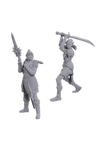 WIZKIDS D&D NOLZUR'S MARVELOUS MINIATURES: BALDURS GATE 3 - LAE'ZEL & SHADOWHEART